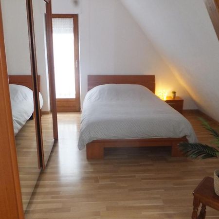 Superbe Appartement En Residence Betschdorf ภายนอก รูปภาพ